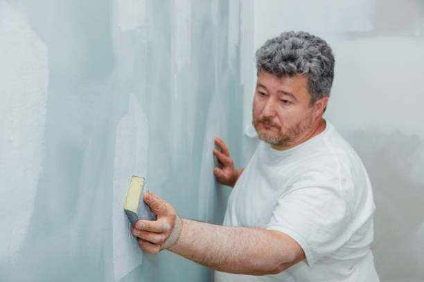 Best Mold Damage Restoration  in Ponce Inlet, FL