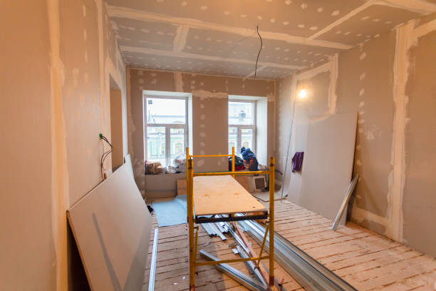 Best Basement Mold Removal  in Ponce Inlet, FL